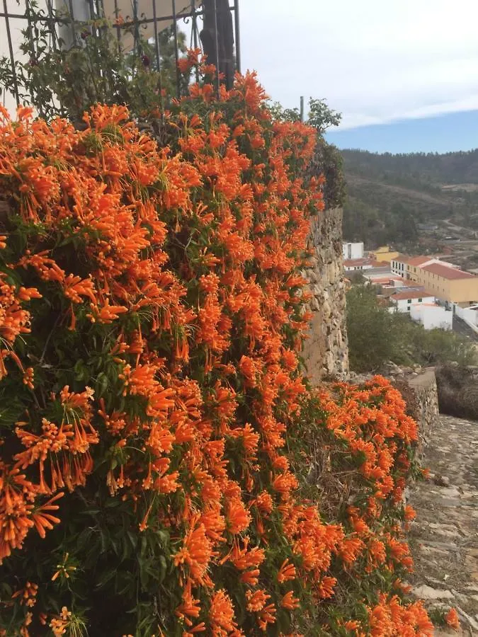 Apartment Ferienwohnung El Mirador Vilaflor Spanien